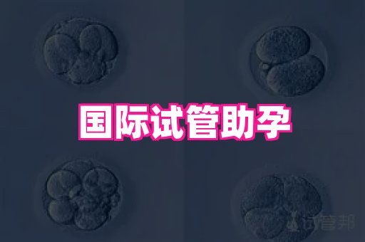 试管助孕网站 3