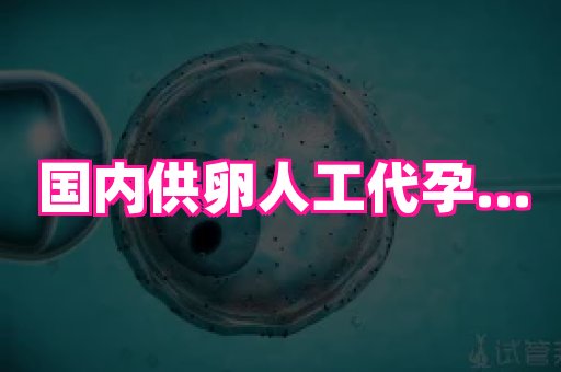 试管助孕网站 4